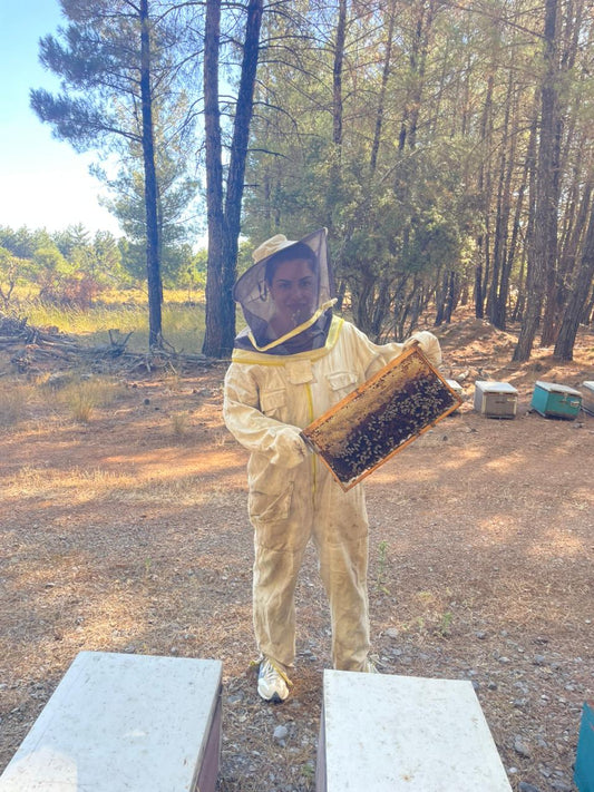 Beezy-News